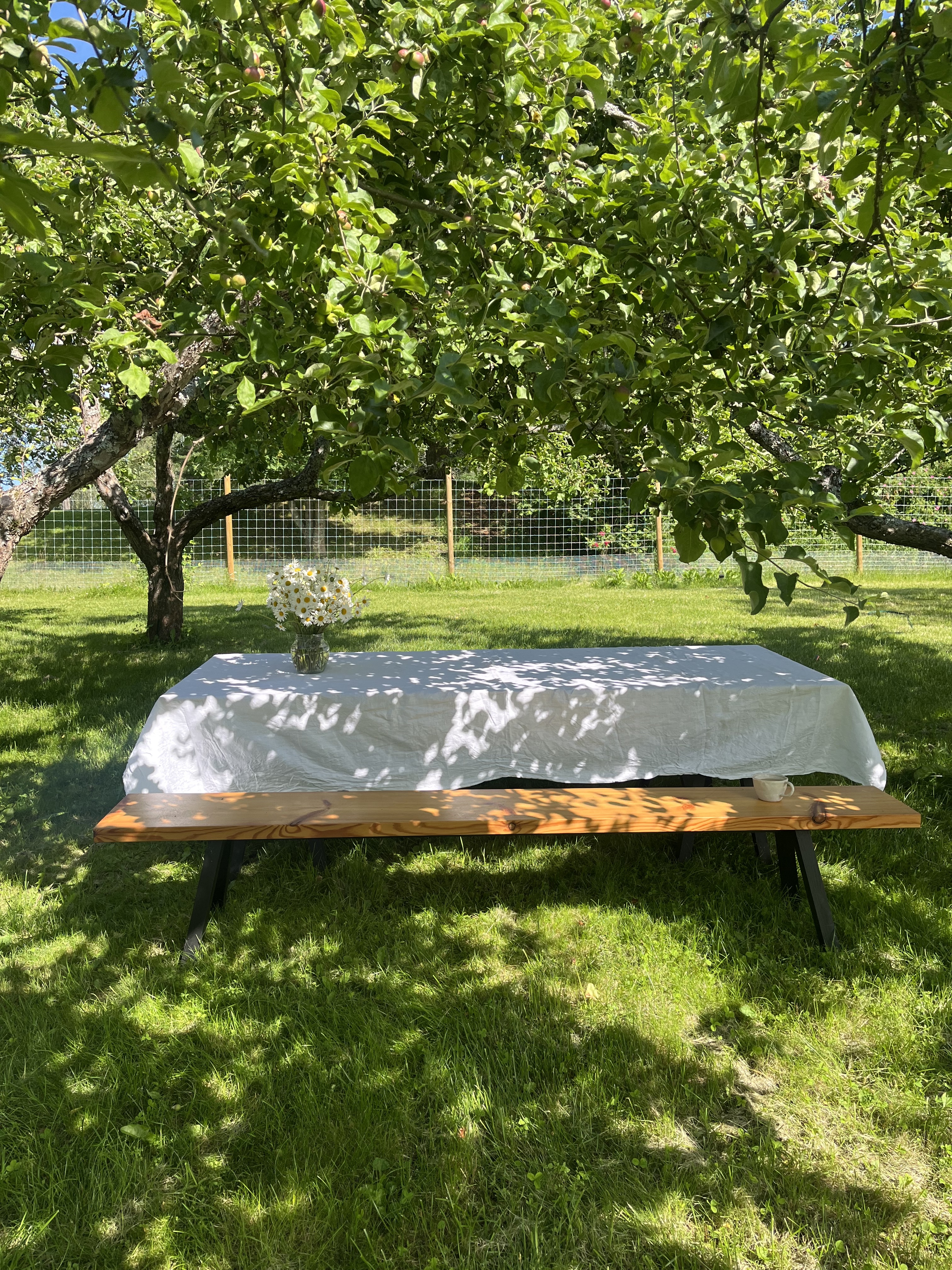 Ruokapöytä omenapuiden alla